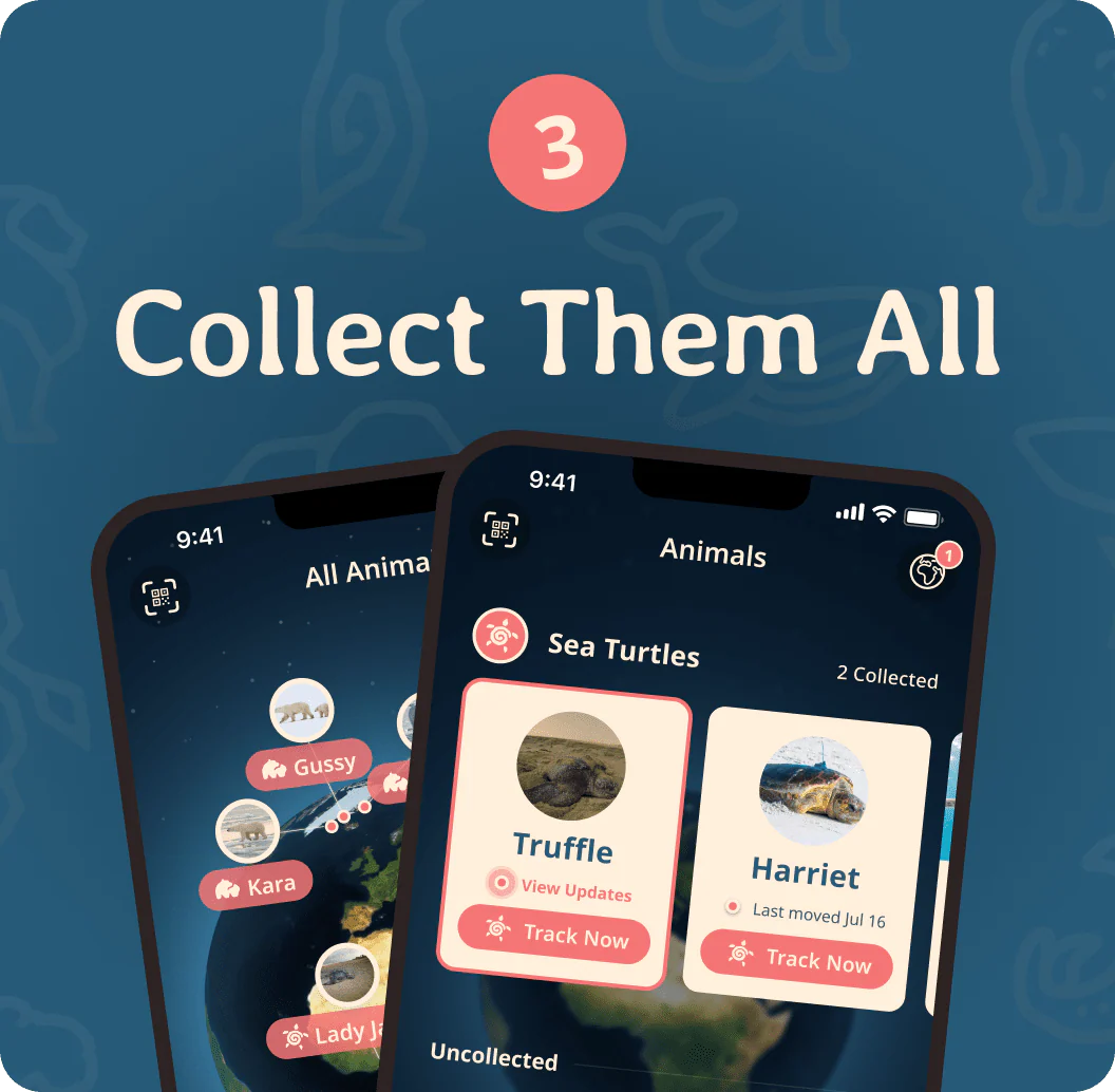 Fahlo-Monthly Club - Image 4